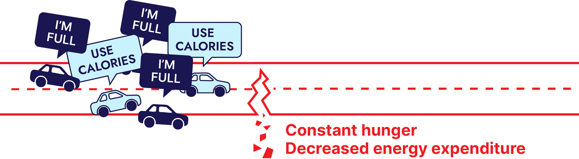 Damaged MC4R pathway represented by cars piling up on a damaged road