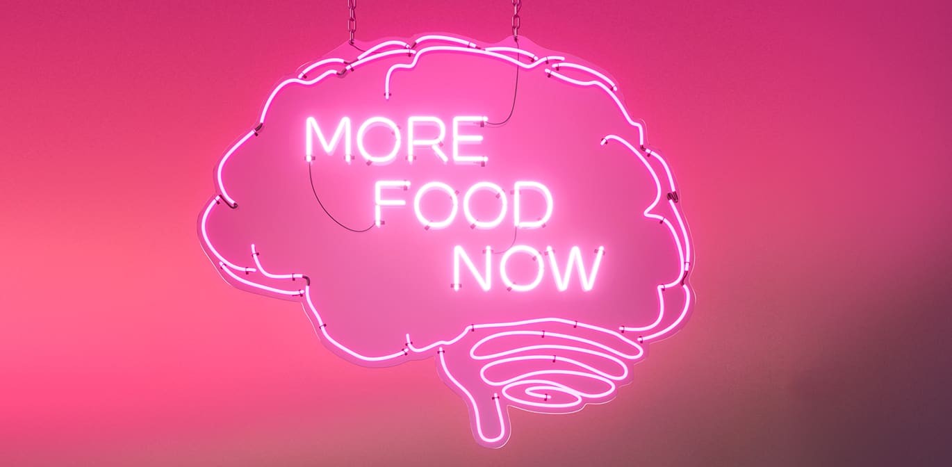 MORE FOOD NOW brain image